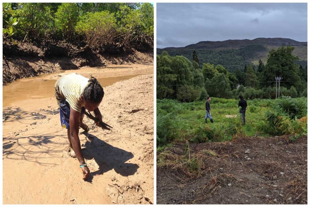 mangrove planting in madagascar and reforesting baron land in dalry scotland