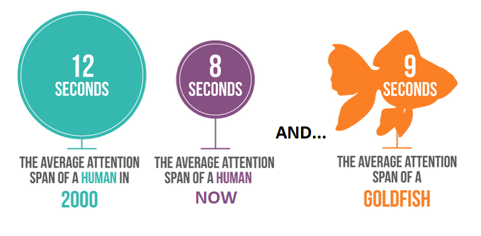 attention span marketing